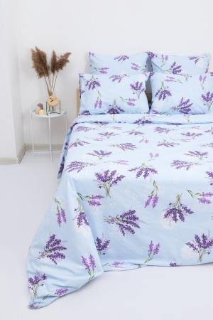 c5b7c504-629f-4f94-9d2a-bbabb290e081